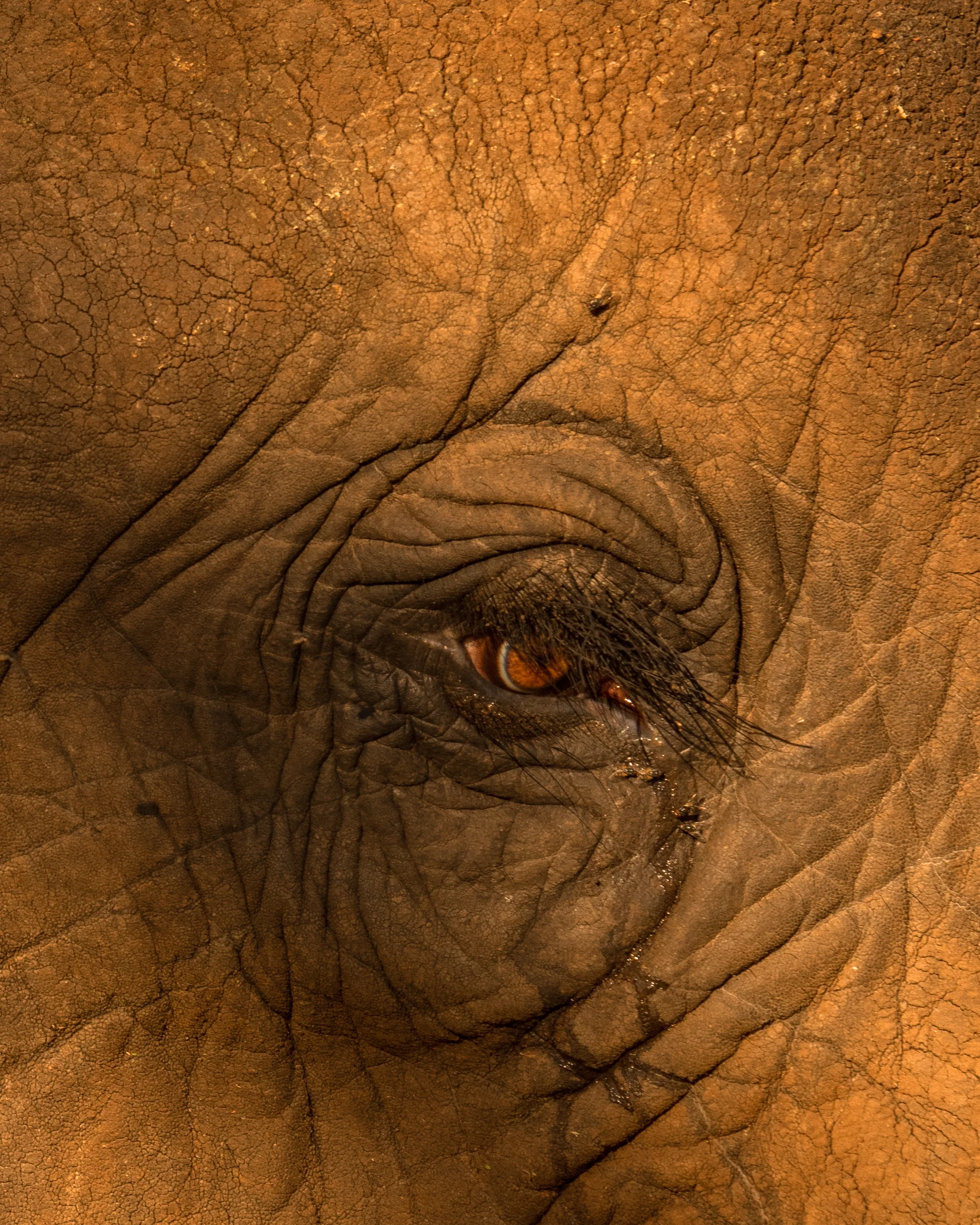 Slow safari travel in Tanzania