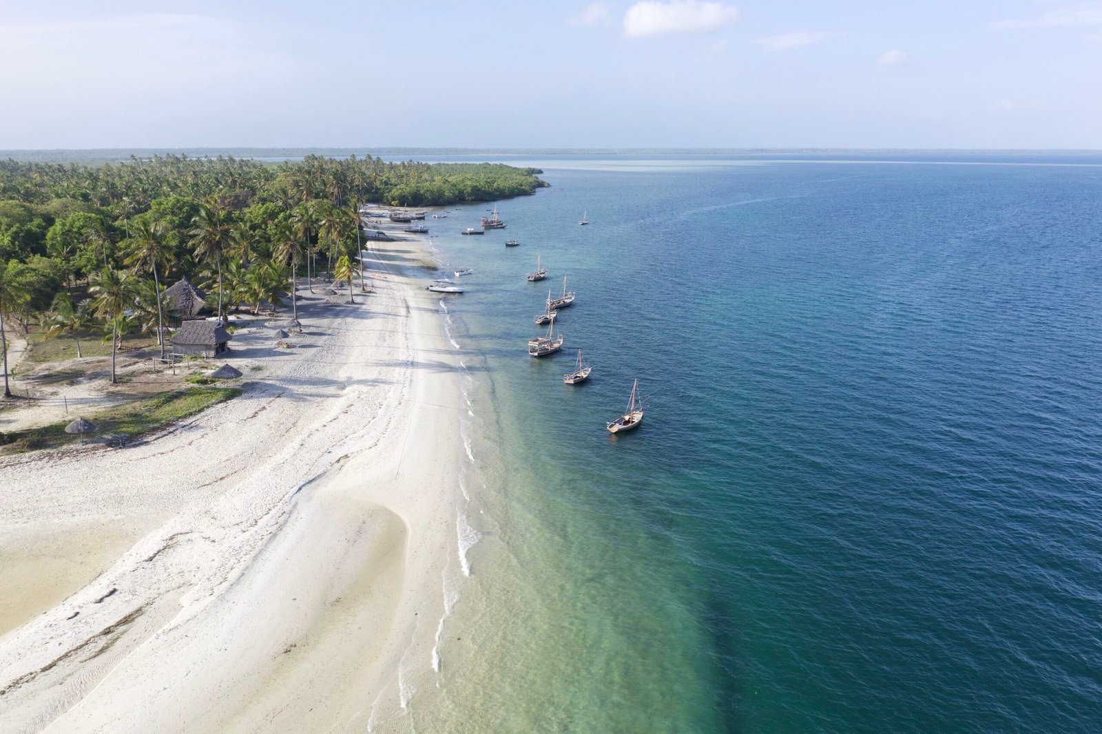 The Island
