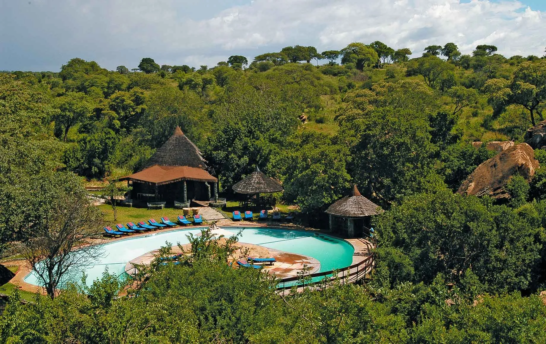 Full Day in Tarangire accommodation image