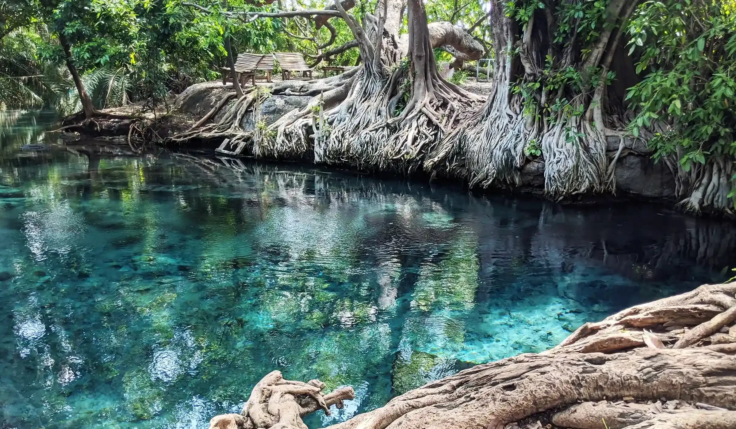 Arrival in Moshi and Briefing activity image