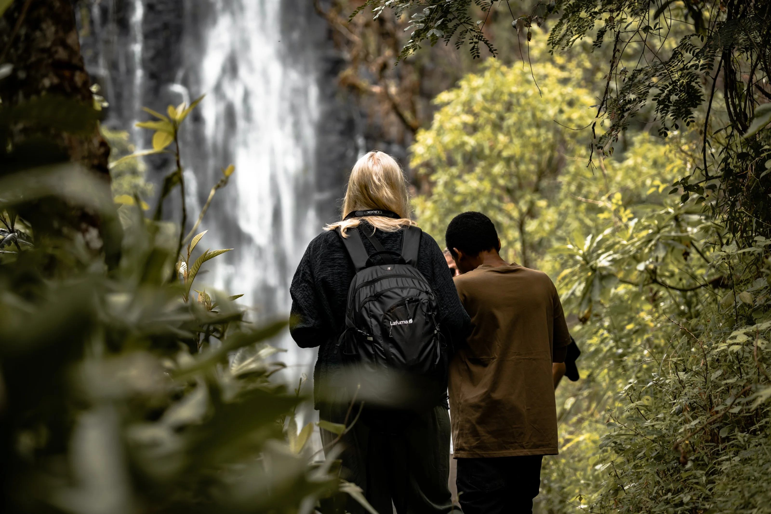 How we steward the wild