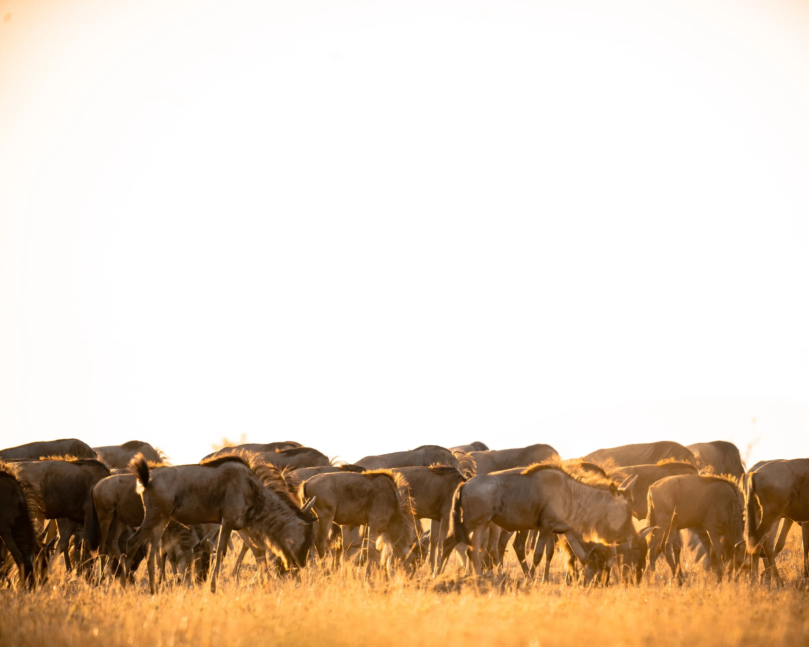 Teva EcoTravels Tanzania photograph 2