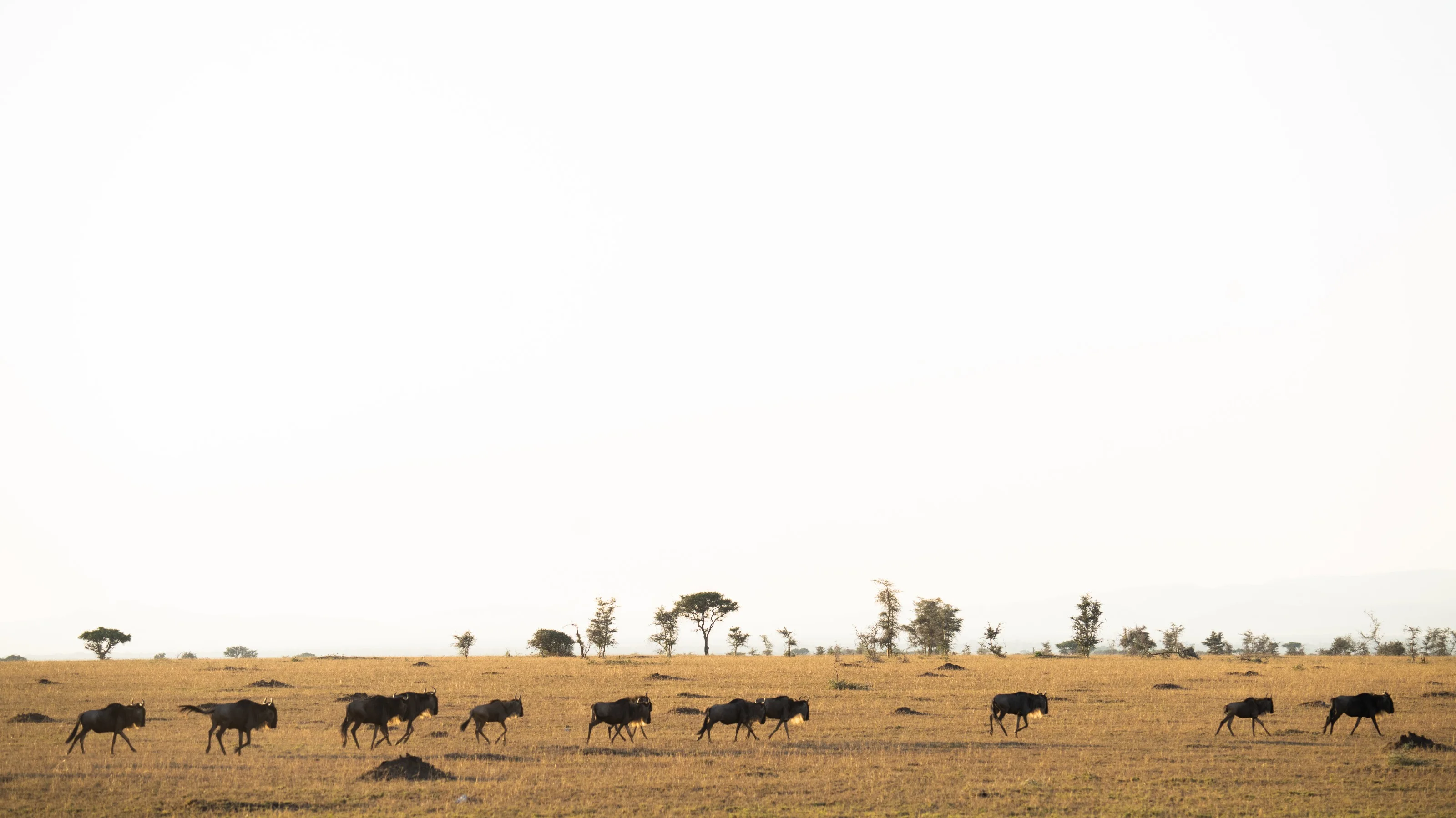 Teva EcoTravels Tanzania photograph 3