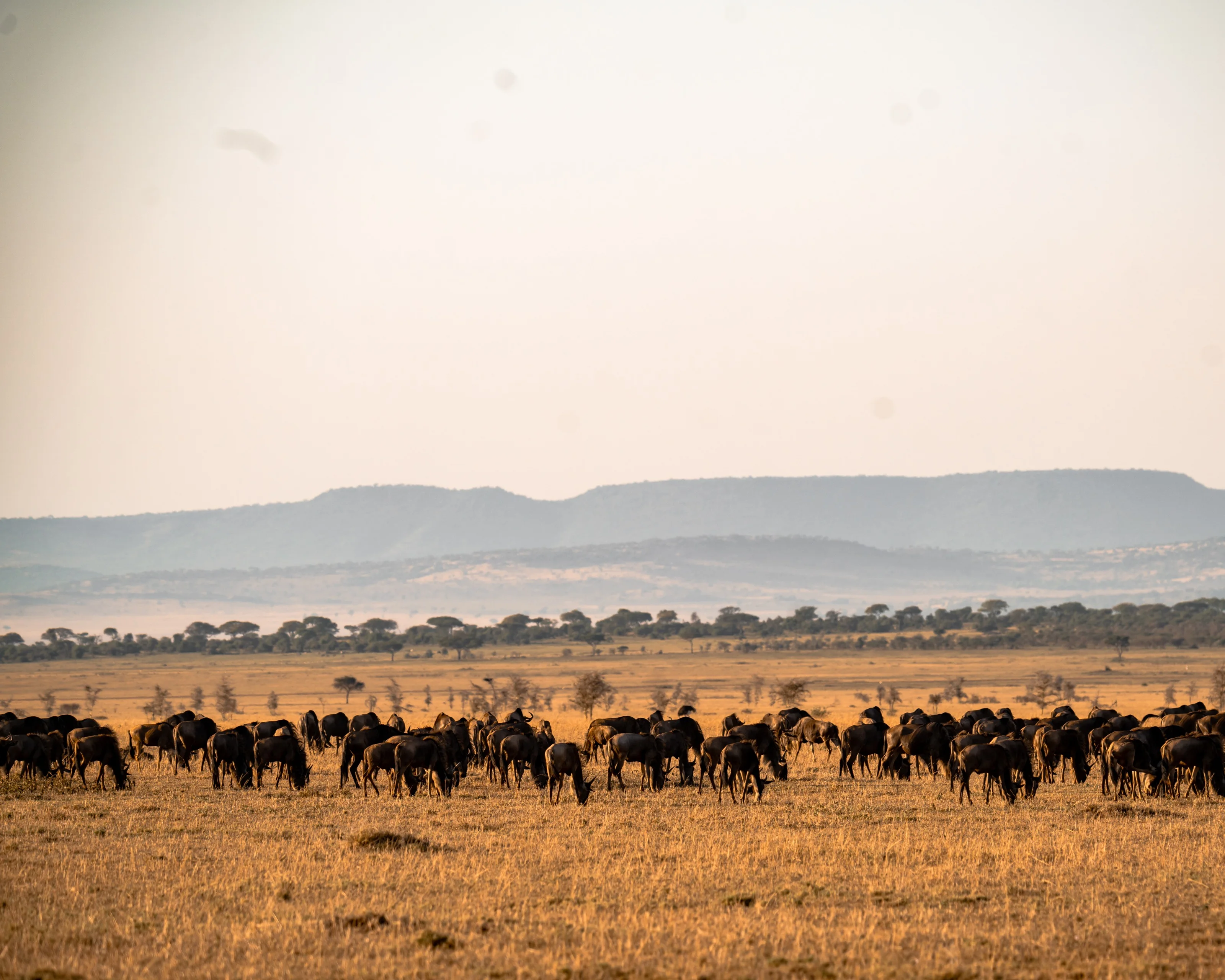Teva EcoTravels Tanzania photograph 5