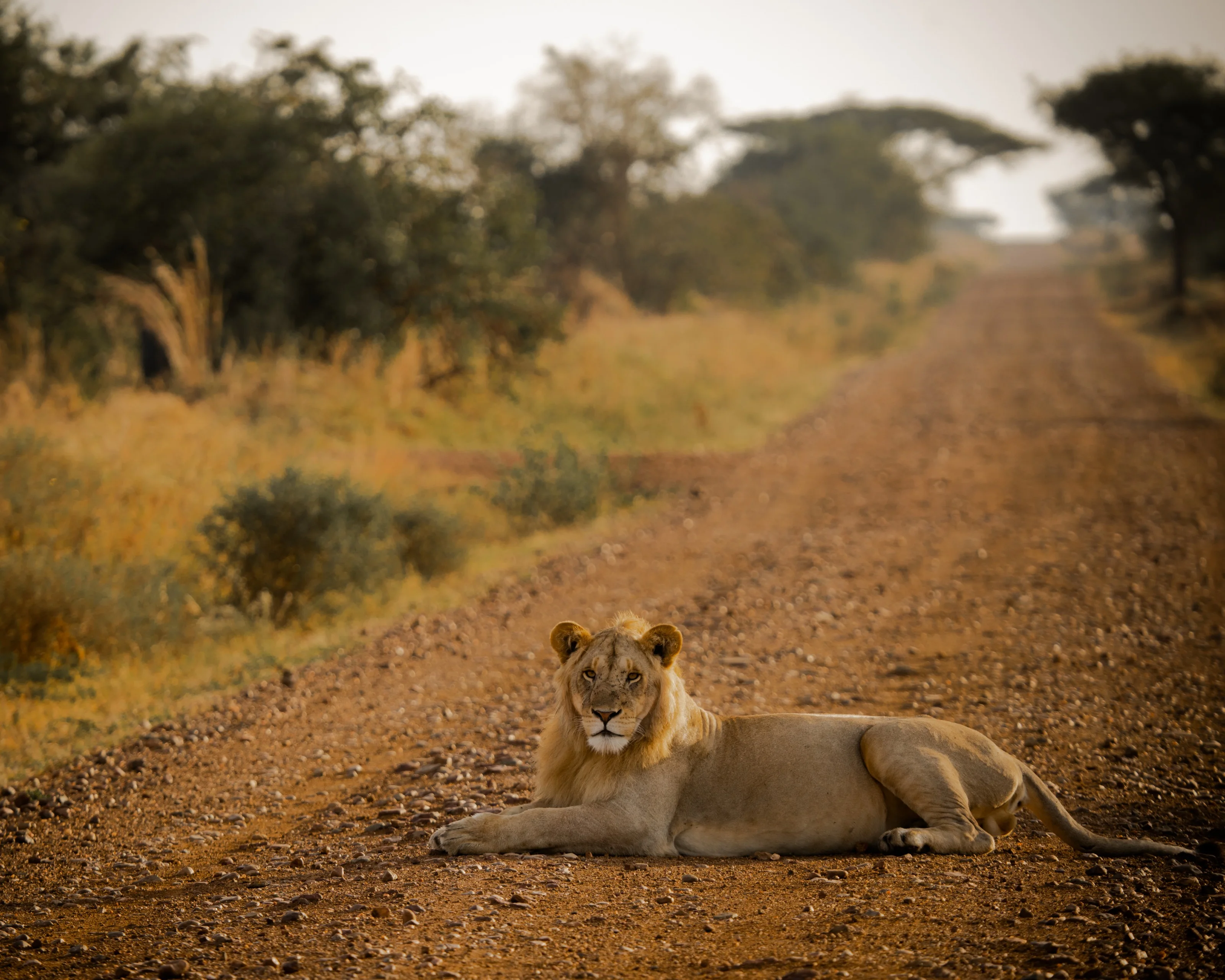 Teva EcoTravels Tanzania photograph 7